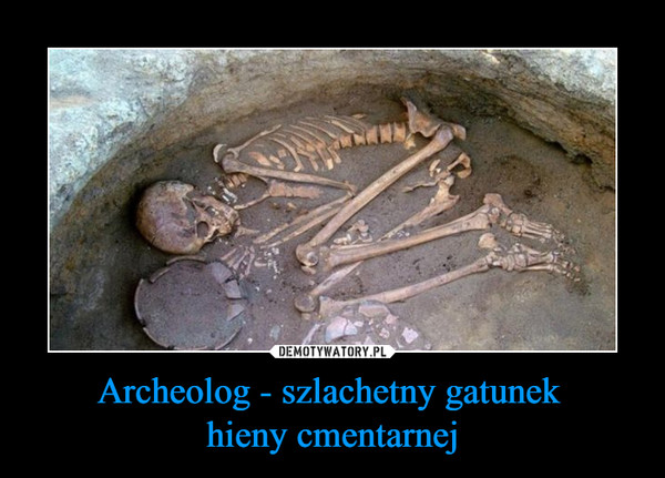 Archeolog - szlachetny gatunek hieny cmentarnej –  