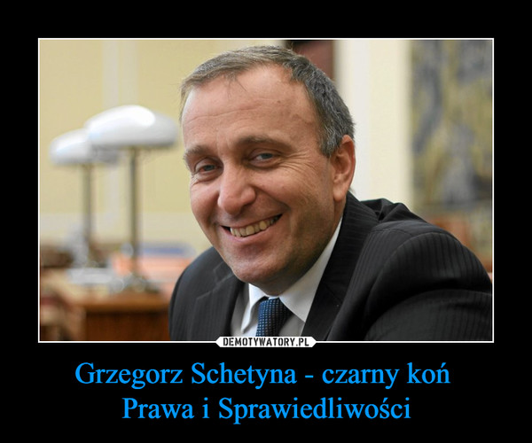 Grzegorz Schetyna - czarny koń 
Prawa i Sprawiedliwości