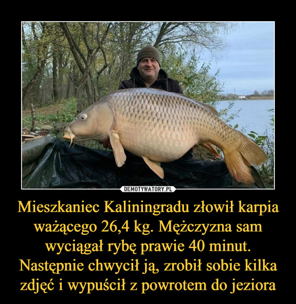 Mieszkaniec Kaliningradu złowił karpia ważącego 26,4 kg. Mężczyzna sam wyciągał rybę prawie 40 minut. Następnie chwycił ją, zrobił sobie kilka zdjęć i wypuścił z powrotem do jeziora –  