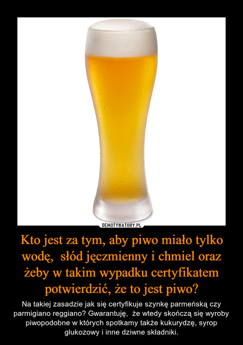 Kto jest za tym, aby piwo miało tylko wodę,  słód jęczmienny i chmiel oraz żeby w takim wypadku certyfikatem potwierdzić, że to jest piwo?