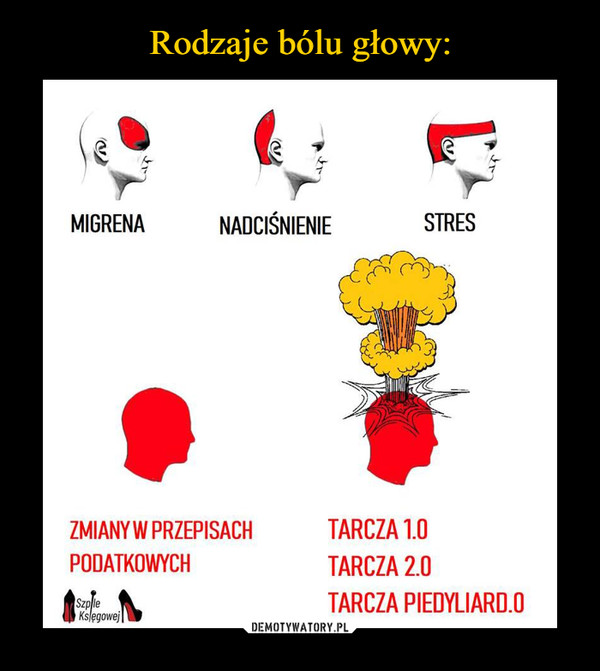 Rodzaje bólu głowy: – Demotywatory.pl