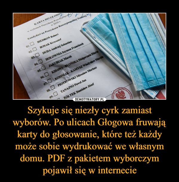 Szykuje się niezły cyrk zamiast wyborów. Po ulicach Głogowa fruwają karty do głosowanie, które też każdy może sobie wydrukować we własnym domu. PDF z pakietem wyborczym pojawił się w internecie