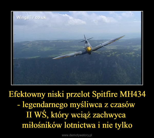 Efektowny niski przelot Spitfire MH434 - legendarnego myśliwca z czasów II WŚ, który wciąż zachwyca miłośników lotnictwa i nie tylko –  