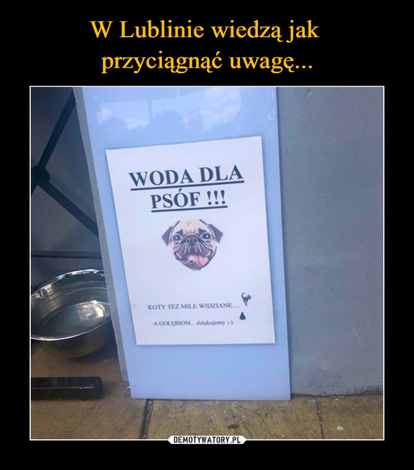 W Lublinie wiedzą jak 
przyciągnąć uwagę...