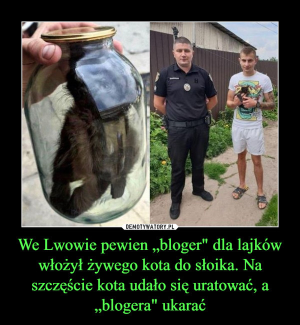 We Lwowie pewien „bloger" dla lajków włożył żywego kota do słoika. Na szczęście kota udało się uratować, a „blogera" ukarać