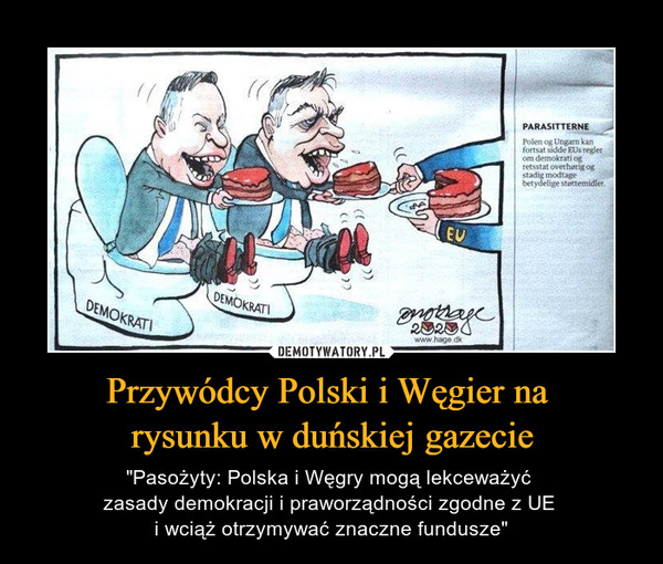 Przywódcy Polski i Węgier na 
rysunku w duńskiej gazecie