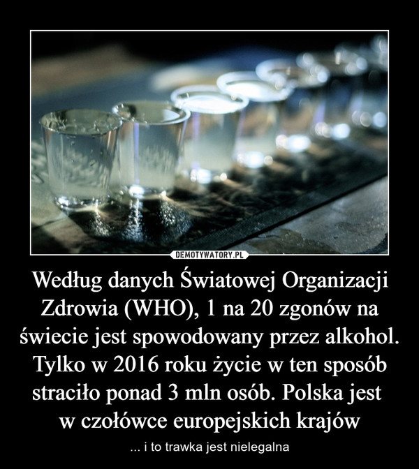 Według danych Światowej Organizacji Zdrowia (WHO), 1 na 20 zgonów na świecie jest spowodowany przez alkohol. Tylko w 2016 roku życie w ten sposób straciło ponad 3 mln osób. Polska jest w czołówce europejskich krajów – ... i to trawka jest nielegalna 