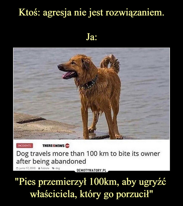 "Pies przemierzył 100km, aby ugryźć właściciela, który go porzucił" –  