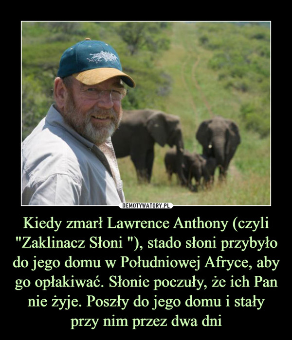 Kiedy zmarł Lawrence Anthony (czyli "Zaklinacz Słoni "), stado słoni przybyło do jego domu w Południowej Afryce, aby go opłakiwać. Słonie poczuły, że ich Pan nie żyje. Poszły do jego domu i stały przy nim przez dwa dni –  