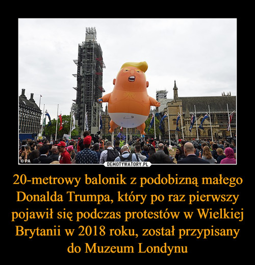 20-metrowy balonik z podobizną małego Donalda Trumpa, który po raz pierwszy pojawił się podczas protestów w Wielkiej Brytanii w 2018 roku, został przypisany do Muzeum Londynu