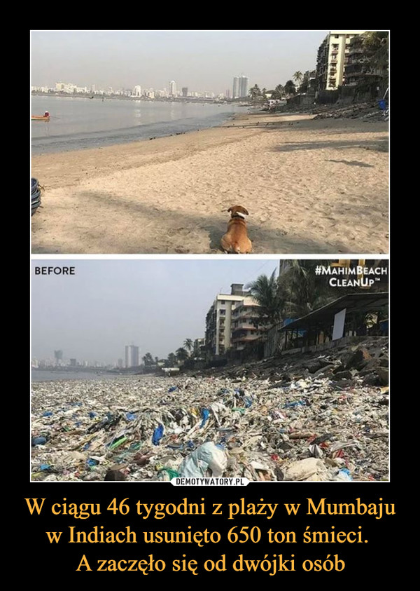 W ciągu 46 tygodni z plaży w Mumbaju w Indiach usunięto 650 ton śmieci. A zaczęło się od dwójki osób –  
