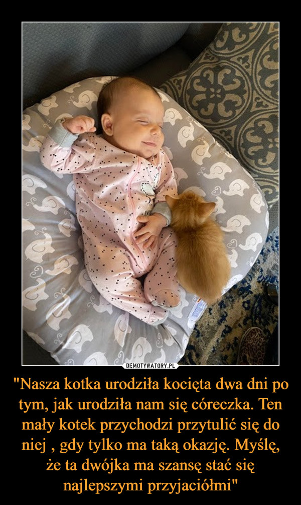 "Nasza kotka urodziła kocięta dwa dni po tym, jak urodziła nam się córeczka. Ten mały kotek przychodzi przytulić się do niej , gdy tylko ma taką okazję. Myślę, że ta dwójka ma szansę stać się najlepszymi przyjaciółmi"