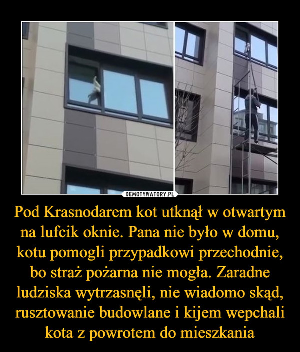 Pod Krasnodarem kot utknął w otwartym na lufcik oknie. Pana nie było w domu, kotu pomogli przypadkowi przechodnie, bo straż pożarna nie mogła. Zaradne ludziska wytrzasnęli, nie wiadomo skąd, rusztowanie budowlane i kijem wepchali kota z powrotem do mieszkania –  