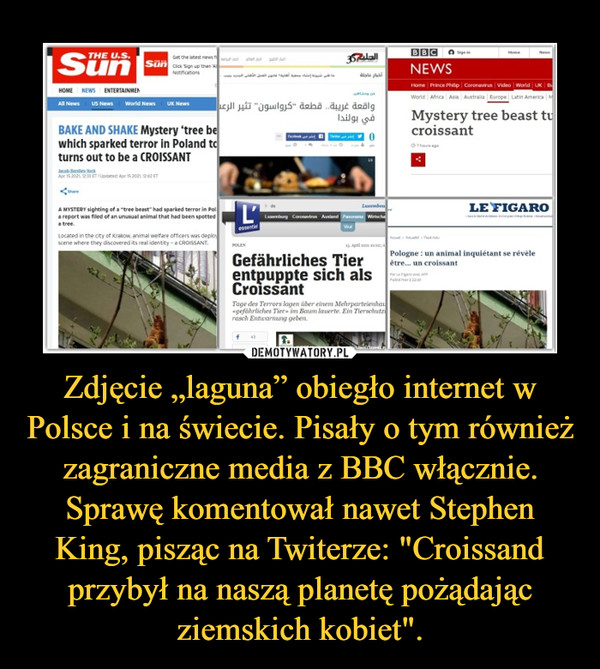 Zdjęcie „laguna” obiegło internet w Polsce i na świecie. Pisały o tym również zagraniczne media z BBC włącznie. Sprawę komentował nawet Stephen King, pisząc na Twiterze: "Croissand przybył na naszą planetę pożądając ziemskich kobiet". –  
