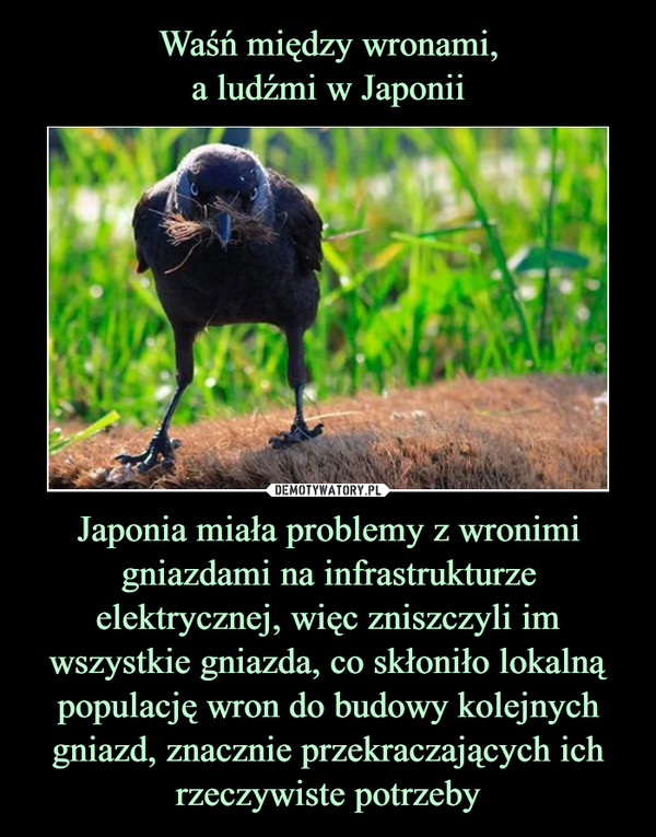 Waśń między wronami,
a ludźmi w Japonii Japonia miała problemy z wronimi gniazdami na infrastrukturze elektrycznej, więc zniszczyli im wszystkie gniazda, co skłoniło lokalną populację wron do budowy kolejnych gniazd, znacznie przekraczających ich rzeczywiste potrzeby