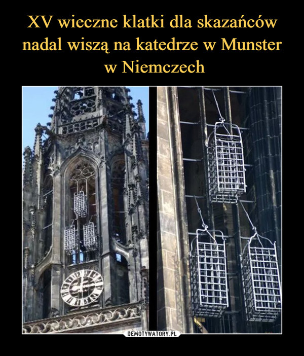 XV wieczne klatki dla skazańców nadal wiszą na katedrze w Munster
 w Niemczech