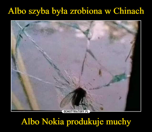 Albo szyba była zrobiona w Chinach Albo Nokia produkuje muchy