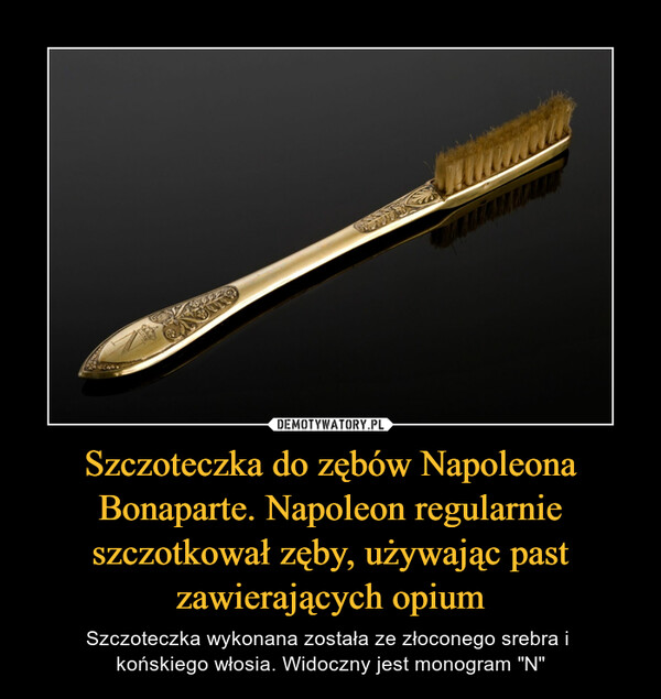 Szczoteczka do zębów Napoleona Bonaparte. Napoleon regularnie szczotkował zęby, używając past zawierających opium