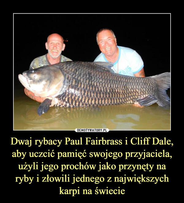 Dwaj rybacy Paul Fairbrass i Cliff Dale, aby uczcić pamięć swojego przyjaciela, użyli jego prochów jako przynęty na ryby i złowili jednego z największych karpi na świecie –  