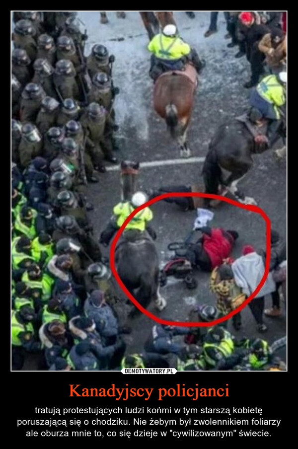 Kanadyjscy policjanci – tratują protestujących ludzi końmi w tym starszą kobietę poruszającą się o chodziku. Nie żebym był zwolennikiem foliarzy ale oburza mnie to, co się dzieje w "cywilizowanym" świecie. 