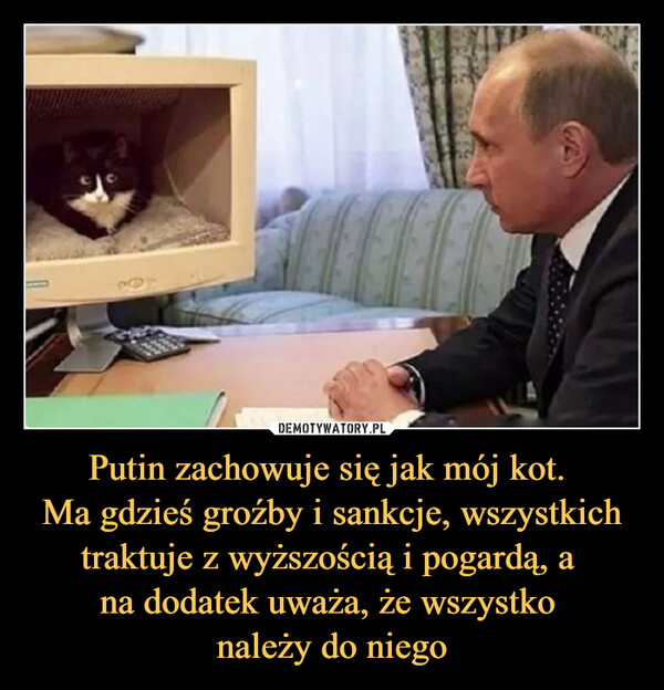 Putin zachowuje się jak mój kot. Ma gdzieś groźby i sankcje, wszystkich traktuje z wyższością i pogardą, a na dodatek uważa, że wszystko należy do niego –  