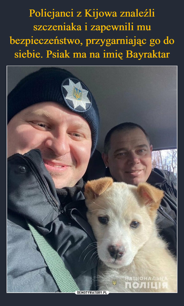 Policjanci z Kijowa znaleźli szczeniaka i zapewnili mu bezpieczeństwo, przygarniając go do siebie. Psiak ma na imię Bayraktar