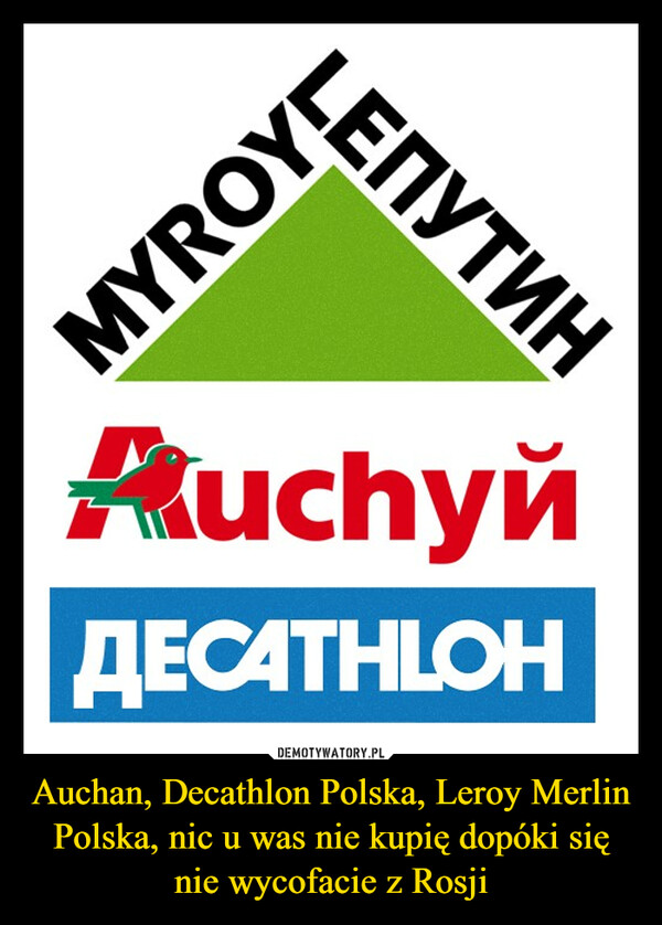 Auchan, Decathlon Polska, Leroy Merlin Polska, nic u was nie kupię dopóki się nie wycofacie z Rosji –  Auchyn
