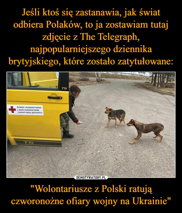 "Wolontariusze z Polski ratują czworonożne ofiary wojny na Ukrainie" –  