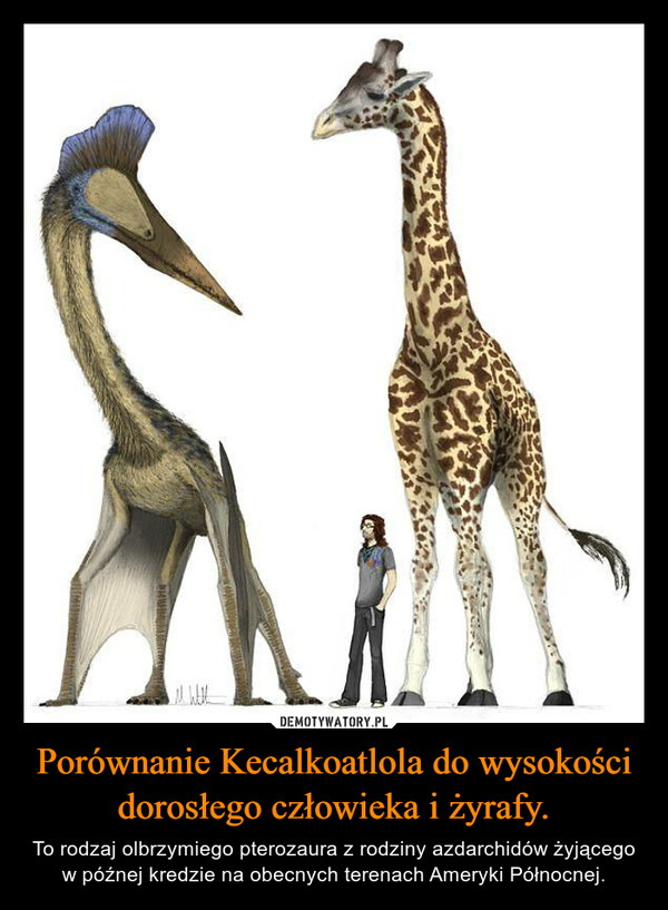 Porównanie Kecalkoatlola do wysokości dorosłego człowieka i żyrafy.