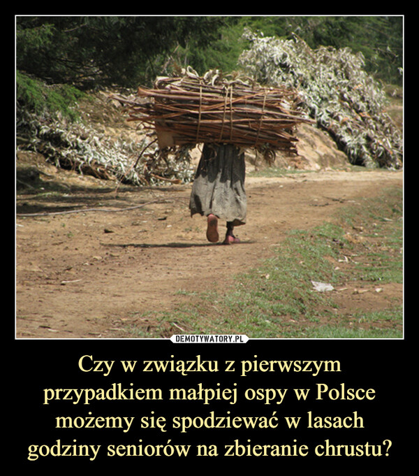 Czy w związku z pierwszym przypadkiem małpiej ospy w Polsce możemy się spodziewać w lasach godziny seniorów na zbieranie chrustu? –  