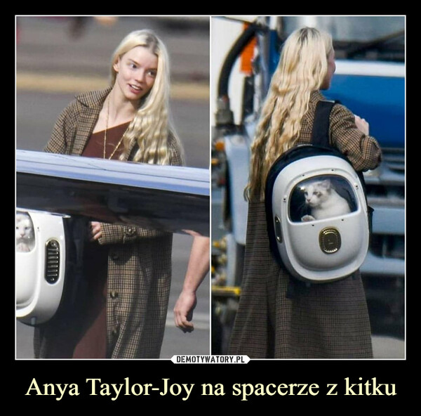 Anya Taylor-Joy na spacerze z kitku