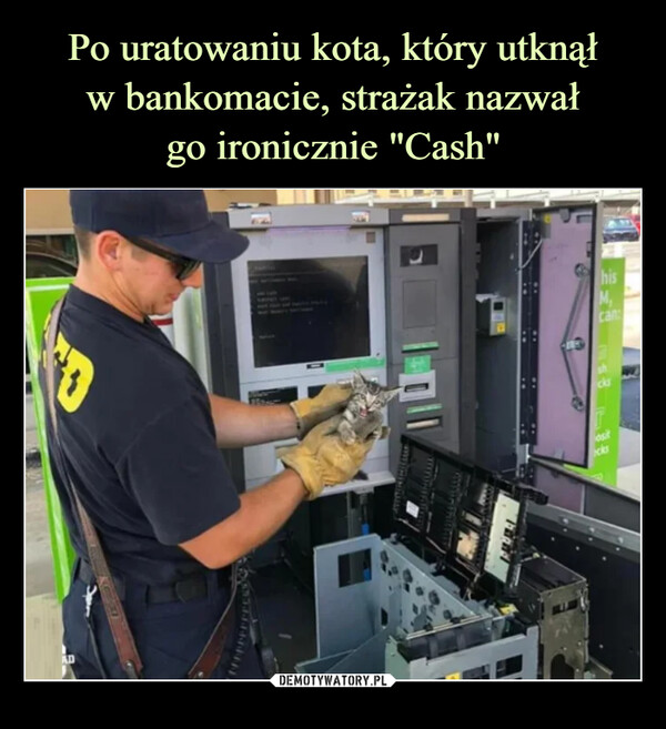 Po uratowaniu kota, który utknął
w bankomacie, strażak nazwał
go ironicznie "Cash"