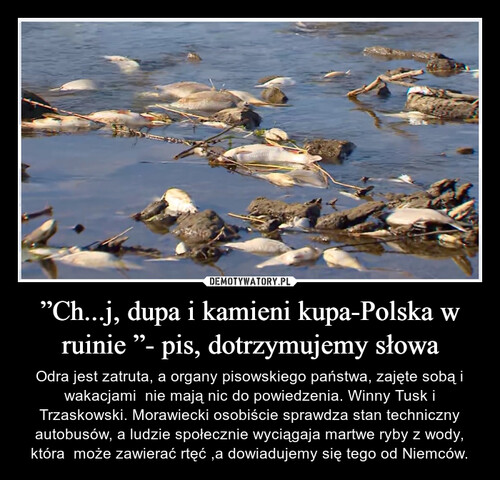 ”Ch...j, dupa i kamieni kupa-Polska w ruinie ”- pis, dotrzymujemy słowa