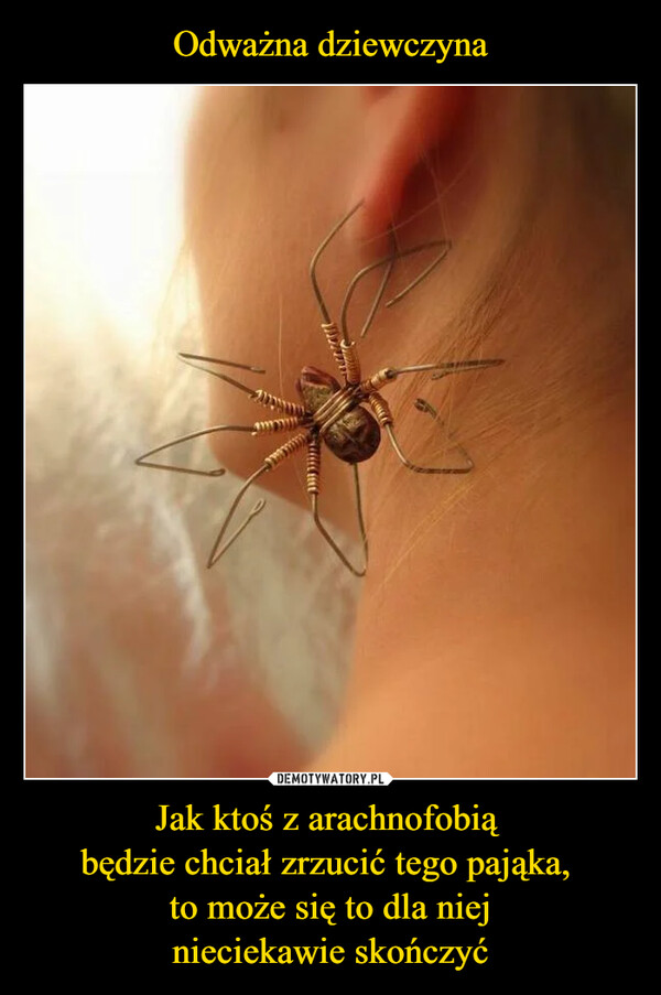 Jak ktoś z arachnofobią będzie chciał zrzucić tego pająka, to może się to dla niejnieciekawie skończyć –  