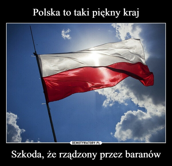 Polska to taki piękny kraj Szkoda, że rządzony przez baranów