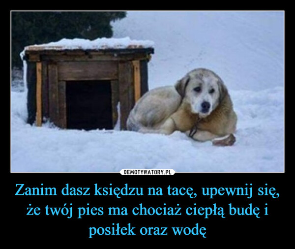Zanim dasz księdzu na tacę, upewnij się, że twój pies ma chociaż ciepłą budę i posiłek oraz wodę –  
