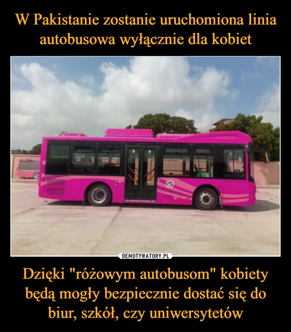 Dzięki "różowym autobusom" kobiety będą mogły bezpiecznie dostać się do biur, szkół, czy uniwersytetów –  
