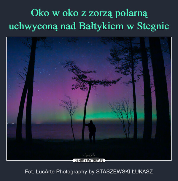  – Fot. LucArte Photography by STASZEWSKI ŁUKASZ #LucPHOTOGRAPHY