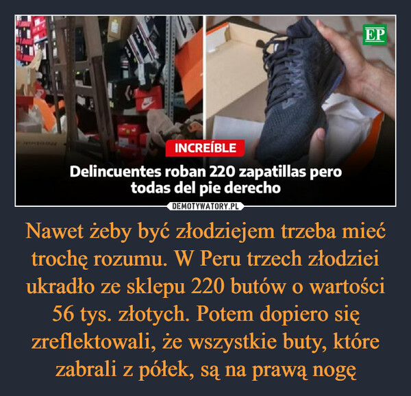 Nawet żeby być złodziejem trzeba mieć trochę rozumu. W Peru trzech złodziei ukradło ze sklepu 220 butów o wartości 56 tys. złotych. Potem dopiero się zreflektowali, że wszystkie buty, które zabrali z półek, są na prawą nogę