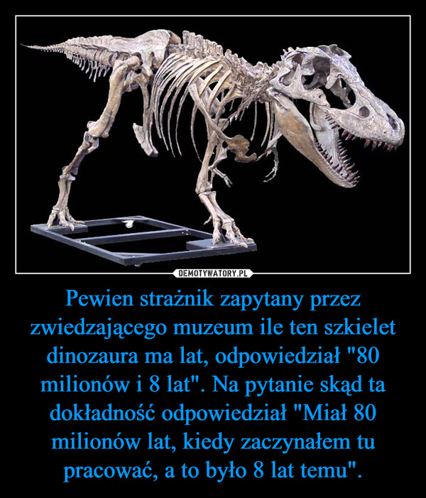 Pewien strażnik zapytany przez zwiedzającego muzeum ile ten szkielet dinozaura ma lat, odpowiedział "80 milionów i 8 lat". Na pytanie skąd ta dokładność odpowiedział "Miał 80 milionów lat, kiedy zaczynałem tu pracować, a to było 8 lat temu". –  