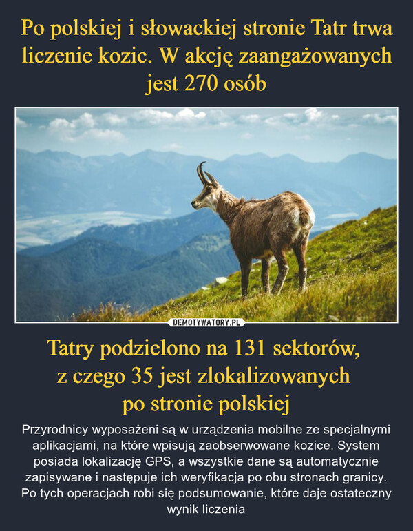Po polskiej i słowackiej stronie Tatr trwa liczenie kozic. W akcję zaangażowanych jest 270 osób Tatry podzielono na 131 sektorów, 
z czego 35 jest zlokalizowanych 
po stronie polskiej