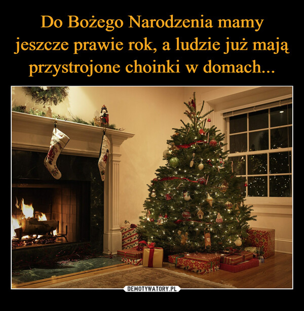 Do Bożego Narodzenia mamy jeszcze prawie rok, a ludzie już mają przystrojone choinki w domach...