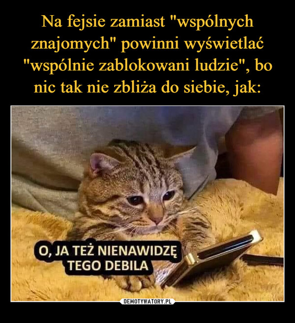  –  Na fejsie zamiast "wspólnych znajomych",powinnl wyświetlać się "wspólniezablokowani ludzie", bo nic tak nie zbliżado siebie jak:O, JA TEŻ NIENAWIDZĘTEGO DEBILAkwejk.pl