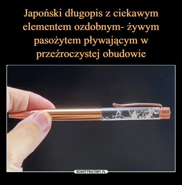 Japoński długopis z ciekawym elementem ozdobnym- żywym pasożytem pływającym w przeźroczystej obudowie
