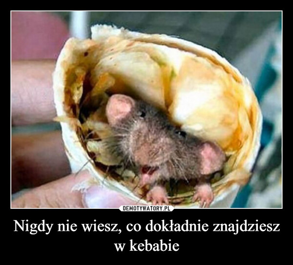 Nigdy nie wiesz, co dokładnie znajdziesz w kebabie –  