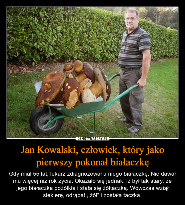 Jan Kowalski, człowiek, który jako pierwszy pokonał białaczkę